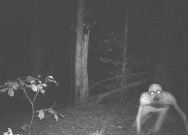 Ucarda qəribə varlıq peyda oldu - İNSANLAR TƏŞVİŞ İÇİNDƏ