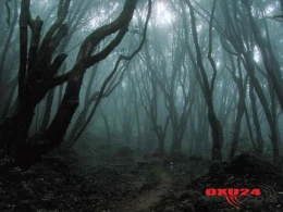 DƏHŞƏTLİ HADİSƏ: İtkin düşən 3 qadın turistin ikisinin meyiti tapıldı, biri ağır yaralıdır