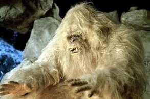 Ucar polisi naməlum məxluqu tutmağa çalışır