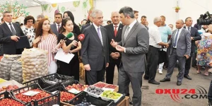 Biz yuxarıdakılara sual veririk, yuxarıdakılar da bizə – “Kartof niyə bahadır”