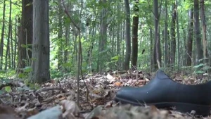 Qorxunc hadisə: Göldən meyit çıxdı