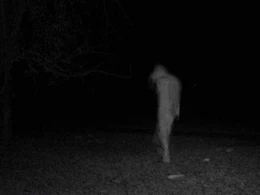 Azərbaycanın bu rayonunda QORXUNC HADİSƏ: Evlərə cinlər hücume dir,şüşələr sındırılır