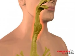 Orqanizmi yapışqanlı selikdən təmizləmək üsulu - Çox xəstəliklərin səbəbi budur