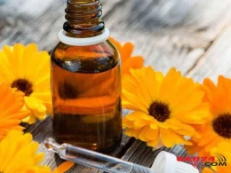 Qida borusundakı şişi bu bitki ilə sağaltdı - RESEPT