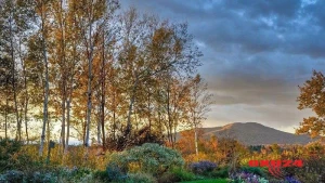 Azərbaycanın bəzi yerlərində temperatur 8 dərəcəyə kimi enəcək - SABAHIN HAVASI