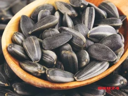 Günəbaxan tumu appendisitin əmələ gəlməsinə səbəb ola bilməz