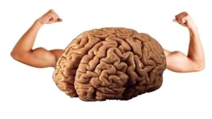 Beynimizi gücləndirmək üçün nələr etməliyik?