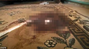 Ərinin başını kəsdi, cinsi orqanını itlərə yedirtdi - ŞOK OLAY