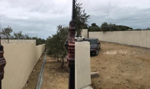 Kürdəxanı sakinləri Mehriban xanım Əliyevaya məktub yazdı:"İşbazlar sizin göstərişinizlə salınacaq parkı..."