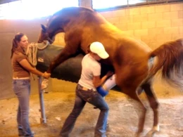 Bu işi görərək  aylıq  30 min qazanırlar