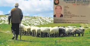 Çoban Vilayət Eyvazovdan kömək istədi:  Qobustanda  nə baş verir?