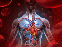 Bu məhsullar orqanizmi yavaş-yavaş məhv edir - SİYAHI