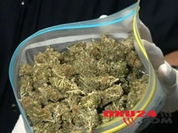 Avropa Birliyi tibbi marixuananın istifadəsinə icazə verdi – İLK DƏFƏ