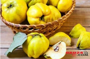 Heyvanın bimədiyimiz faydaları - 1001 dərdin dərmanıdır