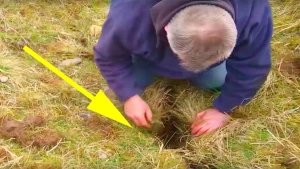 Yerin dərinliyindən vahiməli səs gəldi: Dəlikdən çıxan o görüntü hər kəsi ŞOK etdi