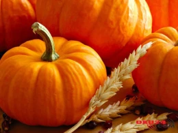 Balqabağın UNİKAL MÜALİCƏVİ XÜSUSİYYƏTLƏRİ