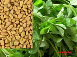 Sağlamlıq üçün tövsiyə edilən möcüzəvi ÇƏMƏN OTU