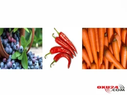 Göz üçün faydalı qidalar