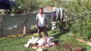 “Leş Tofiq”dən sonra “Leş Elgün” də ələ keçdi