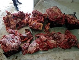 Leş ət satan “Bala Tofiq” tutuldu