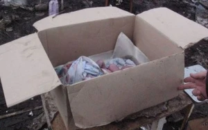 Yeni doğulan körpəni torbaya qoyub küçəyə atdılar