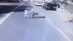 Ata övladını xilas etmək üçün özünü avtobusun altına atdı