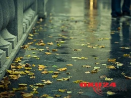 İstirahət günlərində gözlənilən hava proqnozu