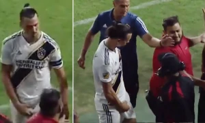 Futbolda biabırçılıq: İbrahimoviç  cinsiyyət  orqanın  azarkeşlərə  göstərdi