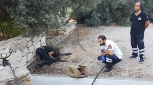 Bakıda dəhşət: Stomatoloqun başını kəsib quyuya atıblar