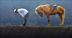 Sahibi ilə namaz qılan at -Tükləri ürpədən görüntü