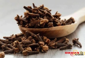 Mikrobları, qurdları və xərçəng hüceyrələrini öldürən ƏDVİYYAT