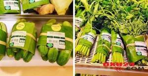 Plastik qablaşdırma əvəzinə banan yarpağı