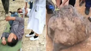 Dəhşətli hadisə: Arılar 3 kişini öldürdü,5-ni yaraladı