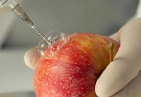 Həkimlərdən DƏHŞƏTLİ XƏBƏRDARLIQ: Bu qidaları yeyirsinzsə...