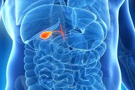 Xərçəng, diabet, demensiyanın səbəbkarı bu bakteriya imiş – Ağızdan bədənə keçir