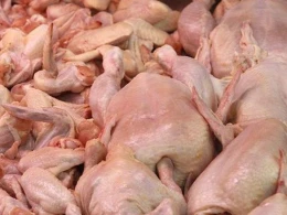 Bu toyuqlar uşaqlarda vaxtından tez cinsi yetişkinlik yaradır?