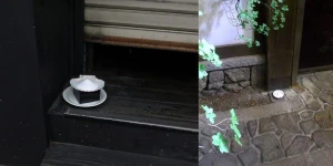 Nəyə görə yaponlar tualetə duz qoyur? – Sağlamlığa faydası