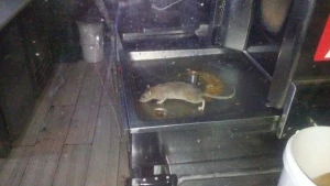 Bakıda məşhur restoranda iyrənc mənzərə - FOTO