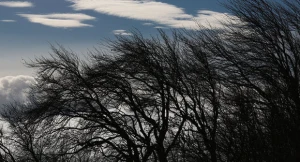 Sabahdan ölkə ərazisində hava soyuyacaq