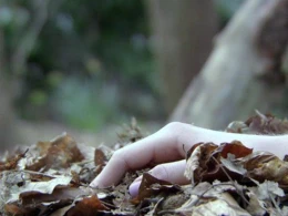 Arvadı ilə üç uşaq atası olan kişini meşəyə apardı və güllələdi - FOTO