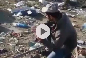 Bakıda dəhşət: Heyvanları zorlayıb,öldürən şəxs tutuldu (18+VİDEO)