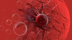 Azərbaycanın bu zonasında yaşayanların xərçəngə tutulması ilə bağlı maraqlı FAKT