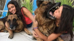 Cəmi bir saniyə sonra... - ÜRƏYİ ZƏİF OLANLAR, BAXMAYIN! - FOTOLAR