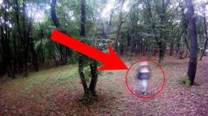 Çobanın 200 qoyunu ilə birgə yoxa çıxdığı SİRLİ MEŞƏDƏ NƏ VAR? - VİDEO