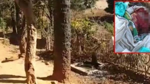 Azərbaycanda pomidor üstündə qanlı dava: “Arvad-arvad danışma, “plyaj”a gəl...” - TƏFƏRRÜAT