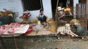 Çindən dünyaya yayılan virusun səbəbi ortaya çıxdı: dəhşətli detallar - FOTO