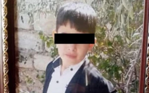 İt dişləməsindən sonra ölən uşaqla bağlı — Rəsmi açıqlama