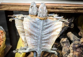 Dünyanı təhlükədə qoyan virus bu bazardan yayılıb - Mədə bulandıran FOTOLAR