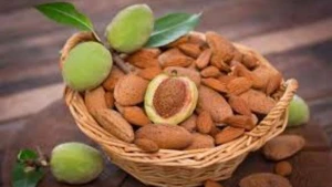 Dünyanın ən faydalı qidası odur