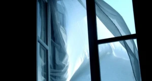 Kişini öldürüb, meyitini onuncu mərtəbədən aşağı atdılar